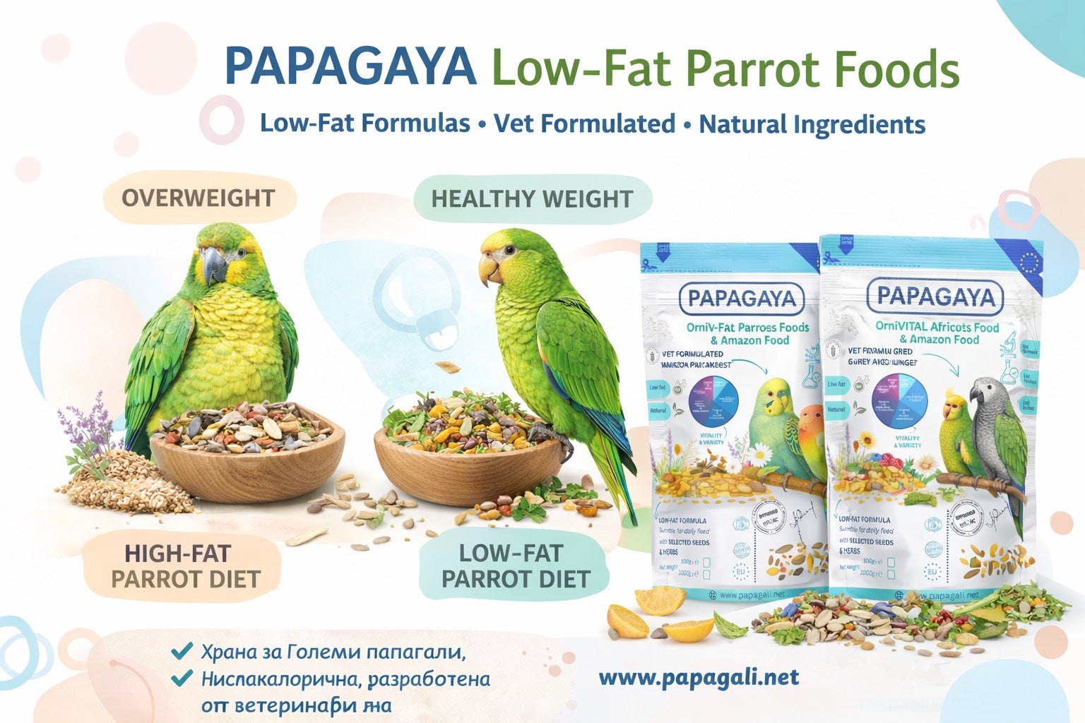 Why Long-Term Nutrition Matters: Preventing Obesity and Supporting Lifelong Health in Parrots